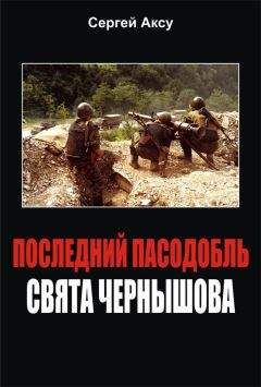 Читайте книги онлайн на Bookidrom.ru! Бесплатные книги в одном клике Сергей Аксу - Последний пасодобль Свята Чернышова