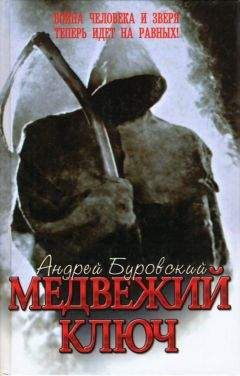 Читайте книги онлайн на Bookidrom.ru! Бесплатные книги в одном клике Андрей Буровский - Медвежий ключ