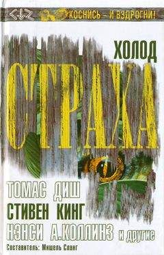 Читайте книги онлайн на Bookidrom.ru! Бесплатные книги в одном клике Мишель Сланг - Холод страха
