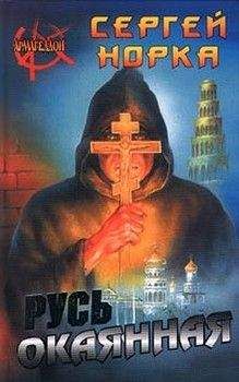 Читайте книги онлайн на Bookidrom.ru! Бесплатные книги в одном клике Сергей Норка - Русь окаянная