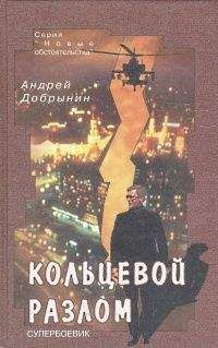 Читайте книги онлайн на Bookidrom.ru! Бесплатные книги в одном клике Андрей Добрынин - Кольцевой разлом