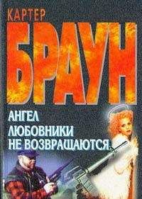Читайте книги онлайн на Bookidrom.ru! Бесплатные книги в одном клике Картер Браун - Ангел