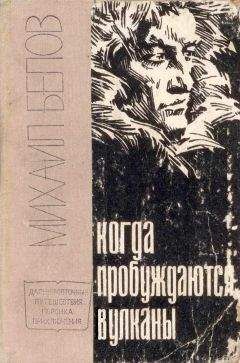 Читайте книги онлайн на Bookidrom.ru! Бесплатные книги в одном клике Михаил Белов - Полюс холода