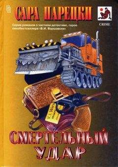 Читайте книги онлайн на Bookidrom.ru! Бесплатные книги в одном клике Сара Парецки - Ожоги