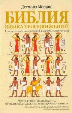 Читайте книги онлайн на Bookidrom.ru! Бесплатные книги в одном клике Десмонд Моррис - Библия языка телодвижений