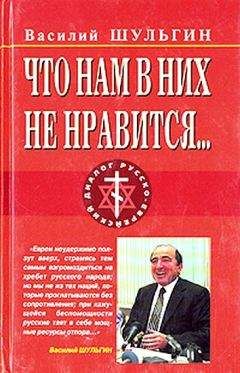 Читайте книги онлайн на Bookidrom.ru! Бесплатные книги в одном клике Василий Шульгин - Что нам в них не нравится…