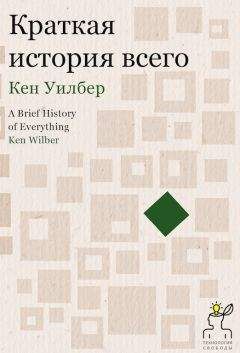 Читайте книги онлайн на Bookidrom.ru! Бесплатные книги в одном клике Кен Уилбер - Краткая история всего