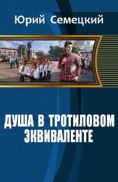 Читайте книги онлайн на Bookidrom.ru! Бесплатные книги в одном клике Юрий Семецкий - Душа в тротиловом эквиваленте