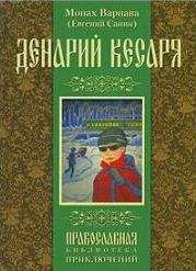 Читайте книги онлайн на Bookidrom.ru! Бесплатные книги в одном клике Санин Евгений - Денарий кесаря