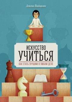 Читайте книги онлайн на Bookidrom.ru! Бесплатные книги в одном клике Джош Вайцкин - Искуство учиться