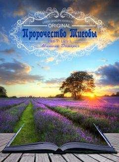 Читайте книги онлайн на Bookidrom.ru! Бесплатные книги в одном клике Мишель Демаркэ - Пророчество Тиеобы