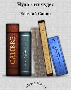 Читайте книги онлайн на Bookidrom.ru! Бесплатные книги в одном клике Санин Евгений - Чудо - из чудес