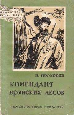 Читайте книги онлайн на Bookidrom.ru! Бесплатные книги в одном клике Николай Прохоров - Комендант брянских лесов