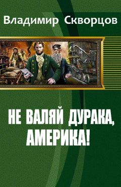 Читайте книги онлайн на Bookidrom.ru! Бесплатные книги в одном клике Скворцов Николаевич - Не валяй дурака, Америка!