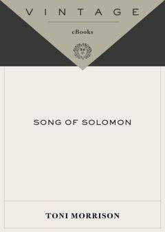 Читайте книги онлайн на Bookidrom.ru! Бесплатные книги в одном клике Toni Morrison - Song of Solomon