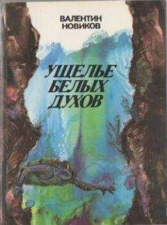 Читайте книги онлайн на Bookidrom.ru! Бесплатные книги в одном клике Валентин Новиков - Четвертое измерение