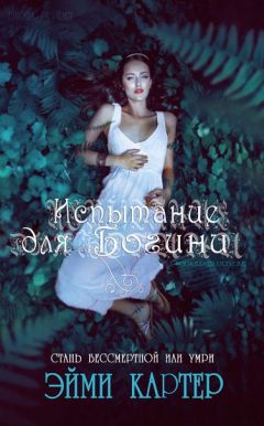 Читайте книги онлайн на Bookidrom.ru! Бесплатные книги в одном клике Эйми Картер - Испытание для Богини