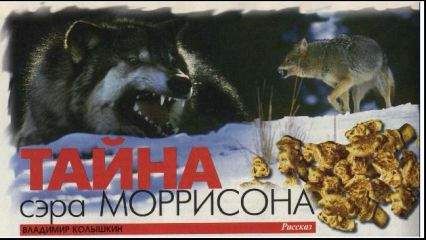 Владимир Колышкин - Тайна сэра Моррисона