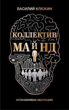 Читайте книги онлайн на Bookidrom.ru! Бесплатные книги в одном клике Василий Клюкин - Коллектив Майнд