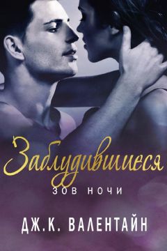 Читайте книги онлайн на Bookidrom.ru! Бесплатные книги в одном клике Дж. Валентайн - Заблудившиеся