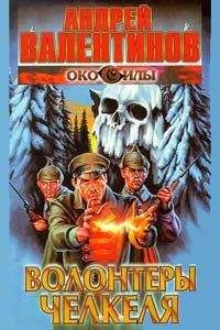 Читайте книги онлайн на Bookidrom.ru! Бесплатные книги в одном клике Андрей Валентинов - Волонтеры Челкеля