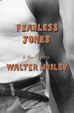 Читайте книги онлайн на Bookidrom.ru! Бесплатные книги в одном клике Walter Mosley - Fearless Jones