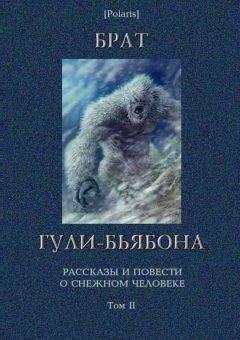 М Фоменко - Брат гули-бьябона. Рассказы и повести о снежном человеке. Том II