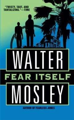 Читайте книги онлайн на Bookidrom.ru! Бесплатные книги в одном клике Walter Mosley - Fear Itself