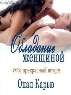 Читайте книги онлайн на Bookidrom.ru! Бесплатные книги в одном клике Opal Carew - Perfect Storm (His to Possess#3)