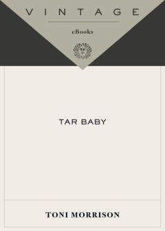 Читайте книги онлайн на Bookidrom.ru! Бесплатные книги в одном клике Toni Morrison - Tar Baby