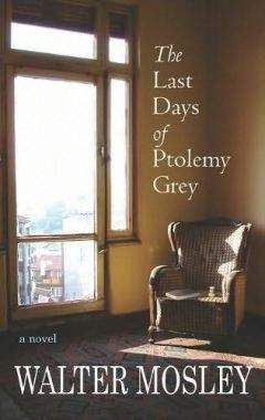 Читайте книги онлайн на Bookidrom.ru! Бесплатные книги в одном клике Walter Mosley - The Last Days of Ptolemy Grey