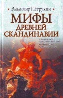 Читайте книги онлайн на Bookidrom.ru! Бесплатные книги в одном клике Владимир Петрухин - Мифы древней Скандинавии