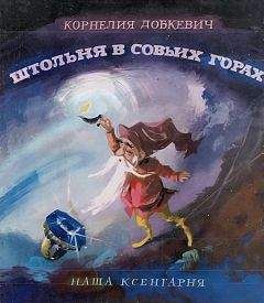 Читайте книги онлайн на Bookidrom.ru! Бесплатные книги в одном клике Корнелия Добкевич - Штольня в Совьих Горах