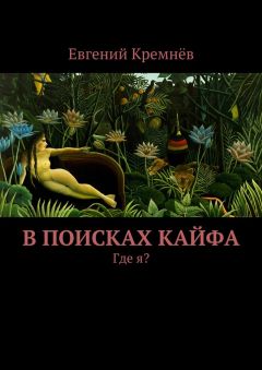 Читайте книги онлайн на Bookidrom.ru! Бесплатные книги в одном клике Евгений Кремнёв - В поисках кайфа