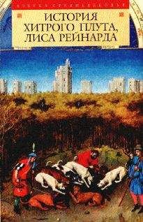 Читайте книги онлайн на Bookidrom.ru! Бесплатные книги в одном клике Средневековая литература - История хитрого плута, лиса Рейнарда