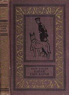 Читайте книги онлайн на Bookidrom.ru! Бесплатные книги в одном клике Яков Волчек - Сын Карая