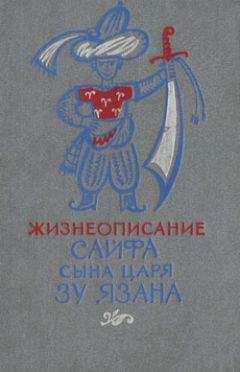 Читайте книги онлайн на Bookidrom.ru! Бесплатные книги в одном клике Эпосы, легенды и сказания - Жизнеописание Сайфа сына царя Зу Язана