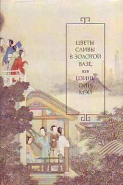 Читайте книги онлайн на Bookidrom.ru! Бесплатные книги в одном клике Ланьлинский насмешник - Цветы сливы в золотой вазе, или Цзинь, Пин, Мэй