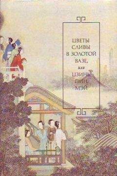 Читайте книги онлайн на Bookidrom.ru! Бесплатные книги в одном клике Ланьлиньский насмешник - Цветы сливы в золотой вазе, или Цзинь, Пин, Мэй