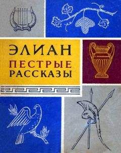 Читайте книги онлайн на Bookidrom.ru! Бесплатные книги в одном клике Клавдий Элиан - Пестрые рассказы