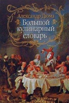 Читайте книги онлайн на Bookidrom.ru! Бесплатные книги в одном клике Александр Дюма - Большой кулинарный словарь