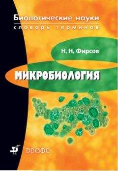 Читайте книги онлайн на Bookidrom.ru! Бесплатные книги в одном клике Николай Фирсов - Микробиология: словарь терминов