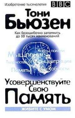 Читайте книги онлайн на Bookidrom.ru! Бесплатные книги в одном клике Тони Бьюзен - Усовершенствуйте свою память