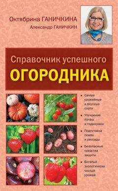 Читайте книги онлайн на Bookidrom.ru! Бесплатные книги в одном клике Октябрина Ганичкина - Справочник умелого огородника