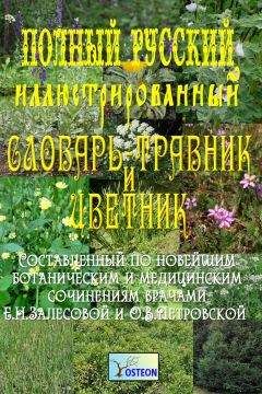 Читайте книги онлайн на Bookidrom.ru! Бесплатные книги в одном клике Е. Залесова - Полный иллюстрированный словарь-травник и цветник