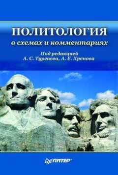 Читайте книги онлайн на Bookidrom.ru! Бесплатные книги в одном клике Александр Тургаев - Политология в схемах и комментариях