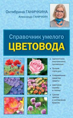 Читайте книги онлайн на Bookidrom.ru! Бесплатные книги в одном клике Октябрина Ганичкина - Справочник умелого цветовода