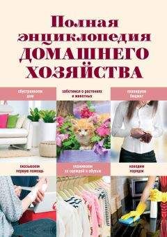Читайте книги онлайн на Bookidrom.ru! Бесплатные книги в одном клике Елена Васнецова - Полная энциклопедия домашнего хозяйства