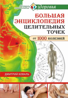 Читайте книги онлайн на Bookidrom.ru! Бесплатные книги в одном клике Дмитрий Коваль - Большая энциклопедия целительных точек от 1000 болезней