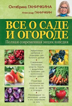 Читайте книги онлайн на Bookidrom.ru! Бесплатные книги в одном клике Октябрина Ганичкина - Все о саде и огороде. Полная современная энциклопедия